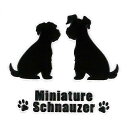 犬 蒔絵シール 【Love dog ミニチュアシュナウザー(仲良し)黒 30mm】犬 雑貨 グッズ ドッグ ケータイ スマホ iPhone デコ ステッカー iQOS アイコス