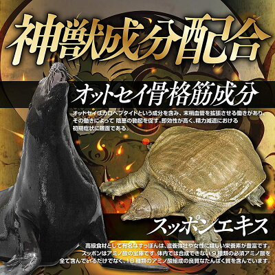 凄神【SUGO-SHIN】自信の満ち溢れる凄い男に2大神成分アルギニンシトルリン配合全18種配合20錠