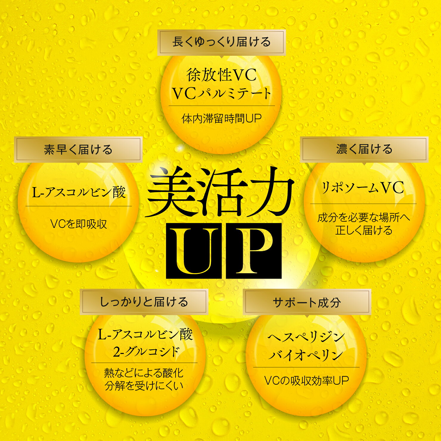 【特価×クーポン】 VITAS VITAMIN C バイタス ビタミンC リポVC 2000mg サプリメント 120粒 3