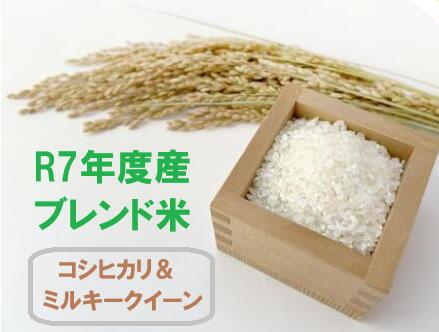 新米【令和7年産】　ミルキークイーン&コシヒカリ【ブレンド】　10kg