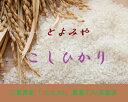 新米【令和2年産】こしひかり　5kg は販売中！