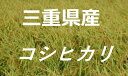 新米【令和2年産】こしひかり　5kg は販売中！