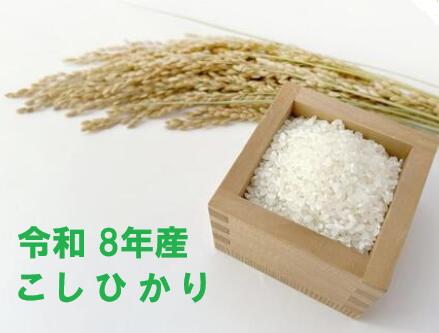 新米【令和8年産】　三重県産　こしひかり　10kg