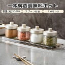 調味料入れ スプーン付き ガラス 密閉 調味料容器 砂糖入れ 塩入れ 調味料ケース 一体構造式調味料容器 調味料ストッカー 香辛料瓶 砂糖ボトル 2個 3個 セ...