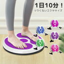 ツイストボード 体幹 ねじり運動 ウエスト ダイエット 回転軸 体幹トレーニング バランス スピントレーナー 運動不足 室内 健康器具 姿勢矯正 痛み緩和 血行...