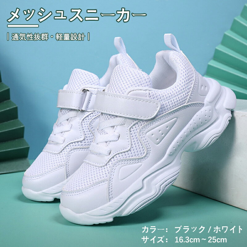 ダンスシューズ チアシューズ ダンスブーツ 幅広 ダンス靴 甲高 軽量 ホワイト 発表会 レディース 白ス..