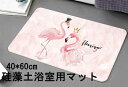 珪藻土バスマット 柄あり 無石綿 ノンアスベスト テスト済 バスマット 速乾 お風呂マット 足ふきマット