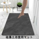 珪藻土バスマット 大判 サイズ 珪藻土マット 風呂 バスマット 足ふきマット 速乾 珪藻土 キッチンマット 滑り止め 浴室 洗面所 吸水 速乾 抗菌 滑り止め 北欧 脱衣所 吸水マット ソフト 柔らかい