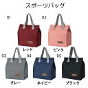 クーラーバッグ クーラーボックス ワインレッド15L 買い物バッグ 高見え カッ サーモス モス コンパクト スポーツバッグ 登山 ハイキング ベルト 海水浴 BBQ 防水 断熱、保温