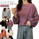 シンプル カジュアル レディース パープル ブルー レイヤード クルーネック カットソー Tシャツ ブラック ロンT カットソー 送料無料 重ね着 ドロップショルダー ぽわん袖 無地 ボリューム袖 ホワイト 袖ボリューム長袖Tシャツ ゆったり(4)