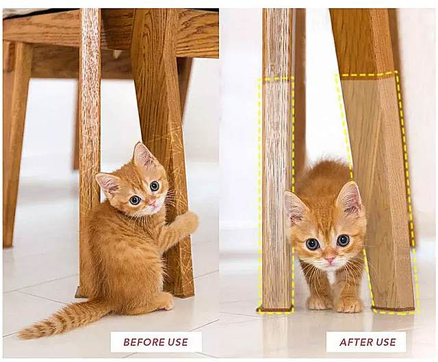 猫 の スクラッチ ガード 4個 猫 の 傷の保護 透明 な 焦げ付き防止 の スクレーパー