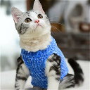 女性のための手作りの冬のウールのセーター暖かい暖かい冬の コート スペインの 猫 の 犬 の 服 クリスマスの新年のドレス