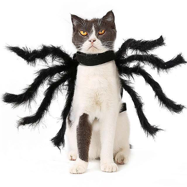 犬 と 猫 のための スパイダー コスチューム パーティー の 変装 小さい 猫 ハロウィーン の 装飾 パーティー 用品