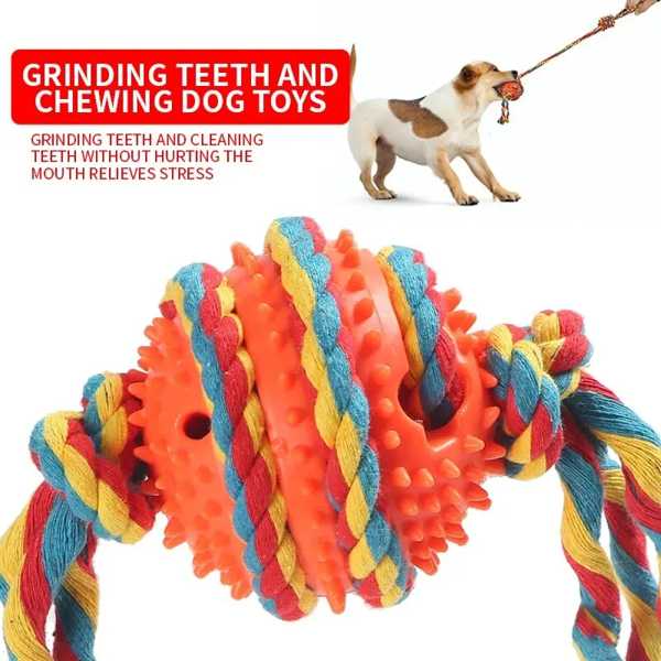 犬大歯ブラシ 耐咬傷 インタラクティブ 耐久性 編組線付き 安全 犬 トレーニング用品