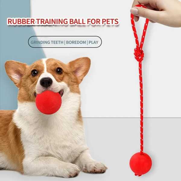 天然ゴム製 犬 おもちゃ トレーニング用 報酬マット 噛むおもちゃ 歯茎洗浄