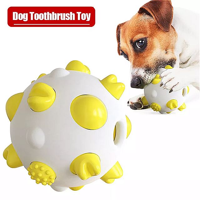 乐天商城 - 犬 歯 ブラシ クリーニング インタラクティブ な噛み 付き 防止 犬 歯 クリーニング 大規模な 子犬 新製品