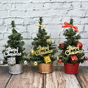 DreamPet ミニ クリスマスツリー 20cm/30cm セット ショーウィンドウ 商業用 カウンター 卓上 オブジェ クリスマス 装飾品