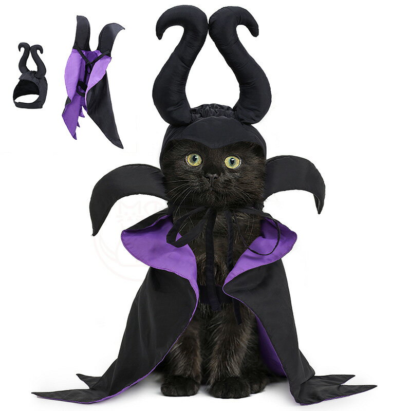 Ķò ϥ  ޥ ˹ å  ǭ ˹ ڥå   Halloween