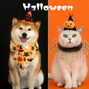DreamPet 2024 ペット ハロウィン コスプレ コウモリ クモ パンプキン 帽子 首輪 三角巾 猫 犬 Halloween