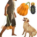 DreamPet ペット用品 ハロウィン パンプキン 新作 噛むおもちゃ 鳴き声 犬 おもちゃ Halloween