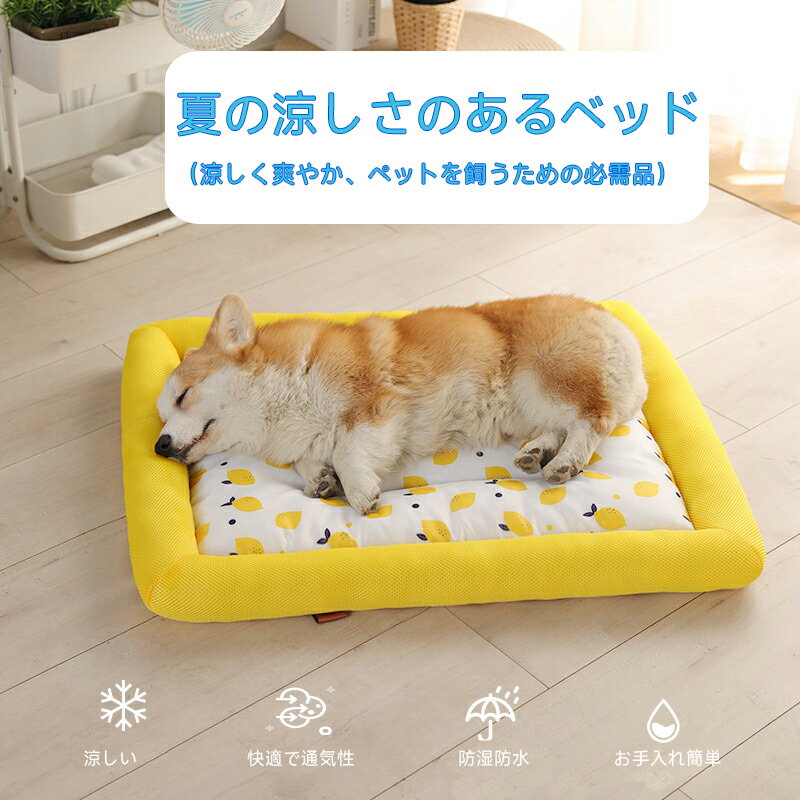 ペットベッド 四季通用 猫ベッド 耐噛み仕様 犬用大型マット