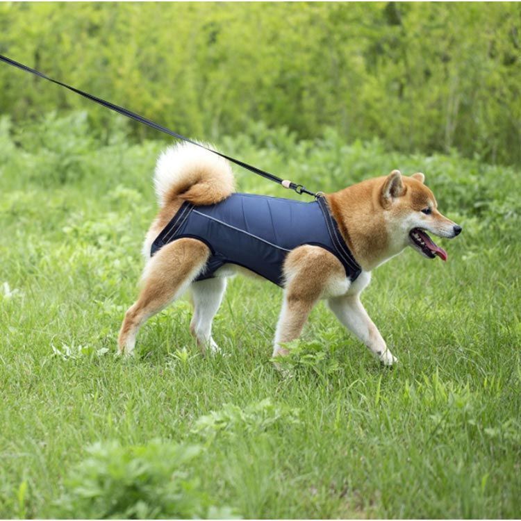 �������ϡ��ͥ� Ϸ�� ��­ ��ϥӥ� �ͥ��ݥ� �㳲 �ڥå��� ������� ���ݡ��� �Ѹ��� ��եȥϡ��ͥ� �ȥ������� �꡼�� �ڥåȥ��å� Ϸ����Ŭ�� �ڥå����� ���˥��� ������ �־褻 �л� ���� ���