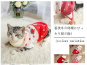 ギフト ペット 小型犬 クリスマス ペット用品 カラフル プレゼント 洋服 軽い お出掛け キャット キュート かわいい 防寒 ドッグウェア ペットウエア ペッ...