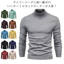 ギフト 無地 大きいサイズ ハイネックニット ス 紳士 タートルネック 防寒 ニットソー 暖かい メンズ シンプル 30代 通勤 ビジネス 秋冬 柔らかい カジュアル タートル プレゼント 重ね着 50代 40代 あったか 長袖 おしゃれ 冬服