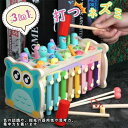 可愛い 男の子 赤ちゃん 幼児用 幼児槌で打つネズミ ドロップインザボックス プレゼント 子供用 知育玩具 打楽器 木製 女の子 入学祝い 木のおもちゃ 積み木 贈り物 磁石 ブロック 釣り 誕生日
