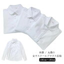 女子用 丸襟ブラウス ワイシャツ 女子 学生服 150cm 制服 140cm 170cm ホワイト レギュラーカラー シャツ レディース 160cm 丸襟 13...