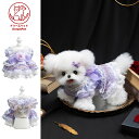 DreamPet 高級 犬服 マルチーズ ヨークシャテリア プリンセスドレス 小型犬 猫用 秋 新作 ペット服