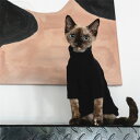 DreamPet 無毛猫 デボンレックス 猫服 陽イオン 自発熱 汚れに強い 洗いやすい 変形しない インナー
