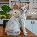 DreamPet ベビー コットン 2ピース デボンレックス 猫服 ボタン式 ベスト 厚手 防アレルギー 保温