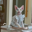 DreamPet パンプキンベビーシャツ 無毛猫 デボンレックス 猫服 夏用 ゆったり 通気性 コットン ベスト