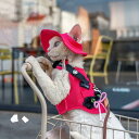 DreamPet キャンプ アウトドア デニム 散歩用 胸当て リード付き セット デボンレックス 猫用 ベスト