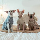 DreamPet スフィンクス 無毛猫 猫服 マンチカン 無縫製 アレルギー防止 保温 柔らかい インナー ベスト