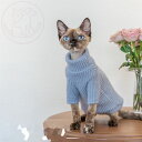 DreamPet 無毛猫 猫服 デボンレックス コーニッシュ 保温 セーター 少女風 フレッシュ&キュート