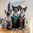 DreamPet 無毛猫 猫服 スフィンクス デボンレックス 弾力 クロスランナー コットン ストライプ ベスト