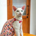 DreamPet デボンレックス 猫服 無毛猫 タンクトップ コットン リブ 高弾性 腹巻 蝶結び ベスト