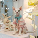 DreamPet デボンレックス アビシニアン 無毛猫 猫服 ストライプ POLOシャツ 配色 キャンディカラー 甘い風 スウェット