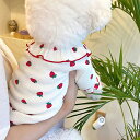 夏用 薄手 フリル付き いちご柄 ペット服 テディ ビション 猫 シュナウザー プードル 小型犬 犬服