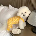夏用 薄手 ペット ストライプ パンツ テディ ビション ポメラニアン 小型犬 子犬 犬服 夏用 クール