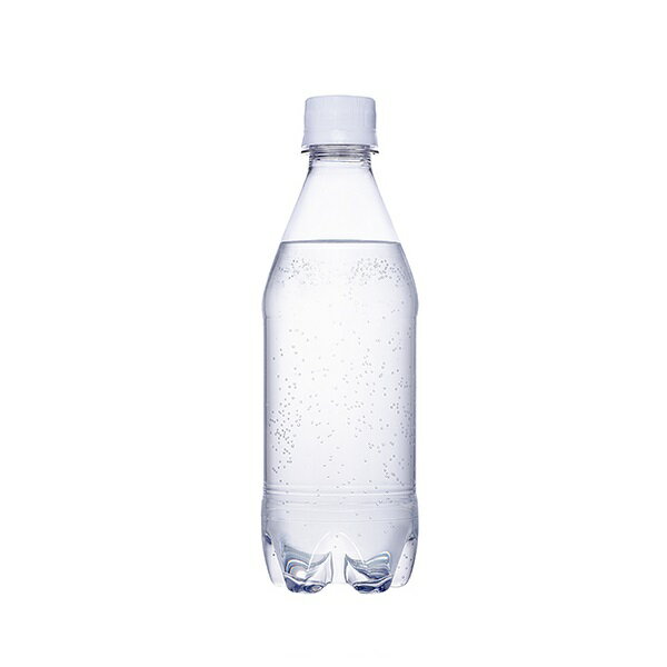 楽天まるまる雑貨倉庫カナダドライ ザ タンサン ストロング ラベルレス430mlペットボトル×24本【2ケース】