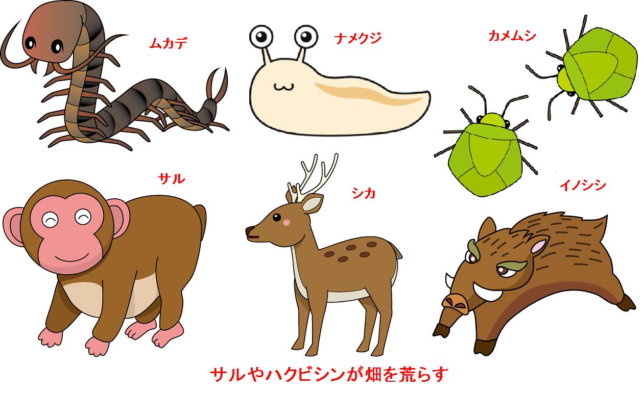 ヒトデ浪漫害虫・害獣を寄せ付けない!5kg{日本製}