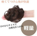 はじめて！手のひらサイズのヘアピース（ライトブラウン）