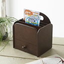 サプリメントラック(薬袋ラック)(日本製){送料無料}