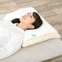 磁気治療器付 消臭・抗菌枕パッド