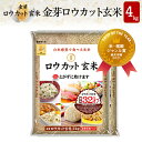 白米感覚で食べる玄米金芽ロウカット玄米長野県 コシヒカリ 4kg【令和3年産】【2kg×2袋】【送料無料・税込み】※4年連続玄米売上No.1洗わず炊ける無洗米玄米生活健康志向金芽米糖質32%カロリー30%オフショップ・オブ・ザ・イヤー2021受賞