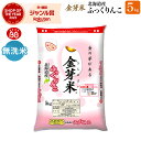 金芽米 北海道産ふっくりんこ5kg【送料無料】【令和5年産】無洗米 洗わずに炊ける BG無洗米 きんめまい 健康志向 お米の栄養が豊富【ギフト おすすめ】銘柄米