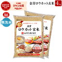 金芽ロウカット玄米 4kg(2kg ×2袋) 無洗米 商品リニューアル 工場直送 令和5年産 糖質 カロリーオフ 無洗米玄米 白米モードで炊飯できる 玄米 送料無料 メーカー公式オンラインショップ